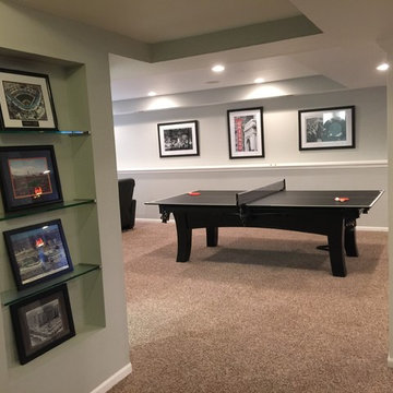 Lake Zurich Basement
