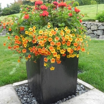 Container Gardens