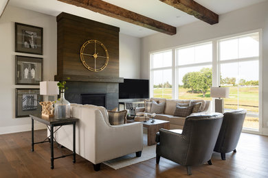 Transitional living room photo in Minneapolis