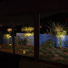 landscape ideas