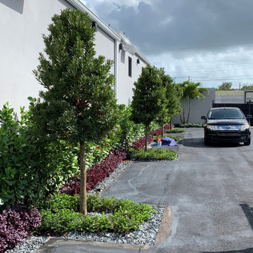 Complete Landscape Installation