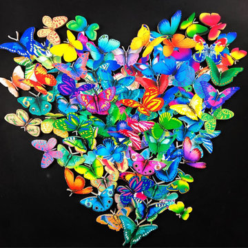 Butterfly Heart