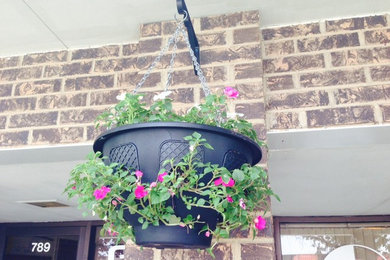 Do It Yourself Hanging Basket
