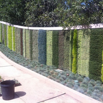 Seasons Living Wall Beverly Hills