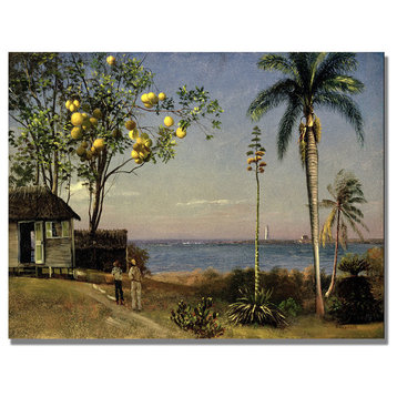 'Tropical Scene' Canvas Art by Albert Biersdant