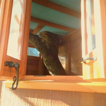 Redwood Temple Treehouse