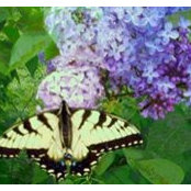 Jodie Ervin's photo