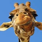 Zoe Coomber's photo