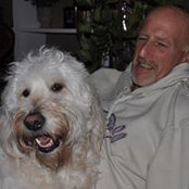 Mark Kierstein's photo