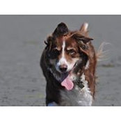 Michael Burr's photo