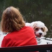 Wendy Bayless's photo