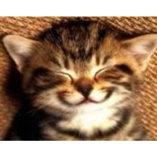 Hazel Lee's photo