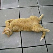 Martine Beaumont's photo
