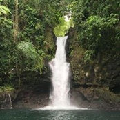 Gus Tave's photo