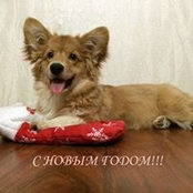 Анна Гельнер's photo