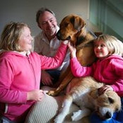 Susan Hollis's photo