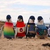 Christine Jauregui's photo