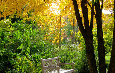 Nature’s Color Wisdom: Lessons on Yellow From the Great Outdoors