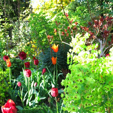 Pergola Garden