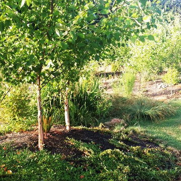 EDGECLIFF ESTATES: Custom Designed Country Home & Our Master Planned Landscape
