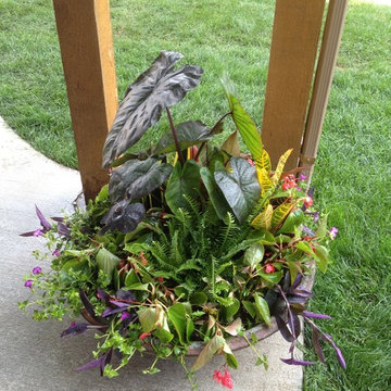 Summer Containers