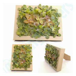 Picture frames - Products