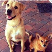 Shannon Langiotti's photo