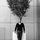 R.J. Friedlander
