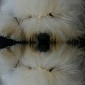 Holly Holbrooks foto