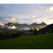 Michael Herrmann's photo