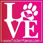 Sabrina Wilkerson's photo