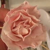 Anna Wanner's photo