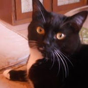 Elise Roland's photo