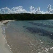 Janine Borrelli's photo