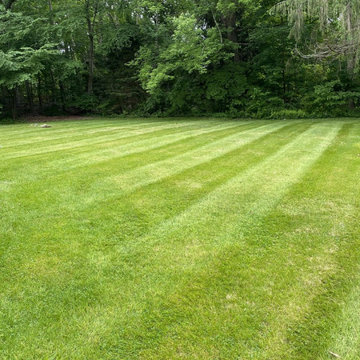 New Haven, CT | Landscape Plantings | Best Lawn Care Services
