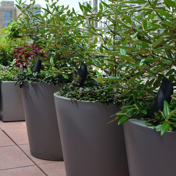 Upper West Side Terrace Garden