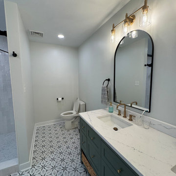 Master Bathroom Renovation