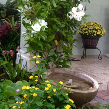 Tropical Landscape Design