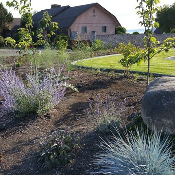 Edible Front Yard