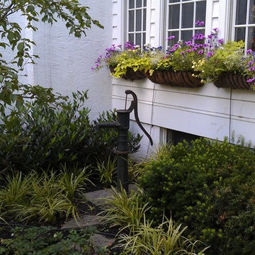 Estate Maintenance and Mixed Plantings
