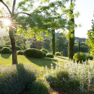 Mediterranean Garden - Californie