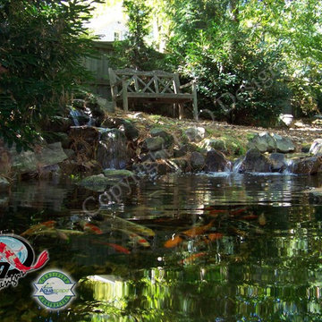 KOI Pond, Backyard Pond & Small Pond Ideas for your Kentucky Landscape