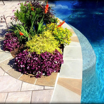 Landscaping Highlights