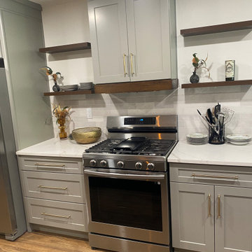 Classic Contemporary Remodel
