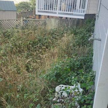 Greenview Tree Care