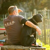 Ben Percival's photo
