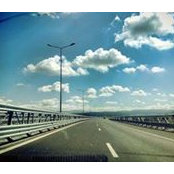 Alex Florin's photo