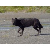 John Guthrie's photo