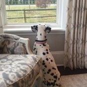Val McAvoy's photo