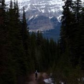 Renee Majumdar's photo